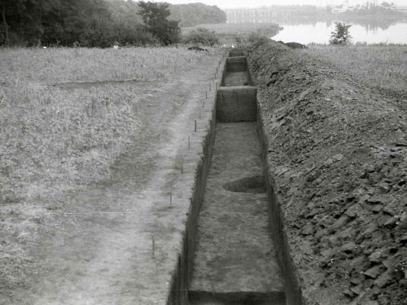 cernica 1973 1 31 o