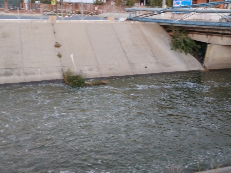 img 20241102