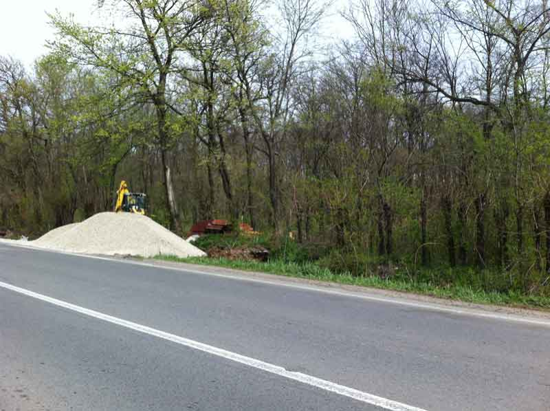 padurea-cernica-picnic-loc-amenajare-sosea