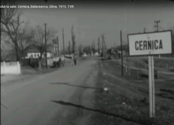 numele_comuna_cernica.png